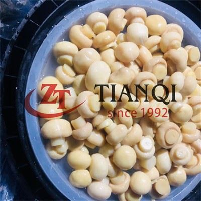 Champignon salé au tambour