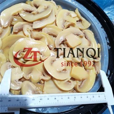 Champignons prix d'usine tranchés en baril