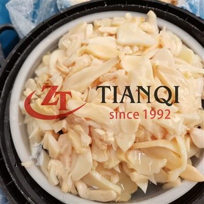 Pleurotes royales en saumure