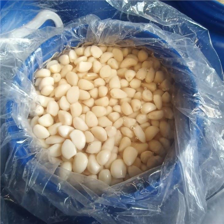 Garlic in Brine Packed in Plastic Drums