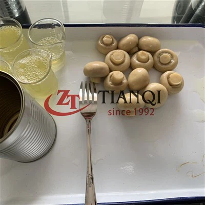 Champignons entiers frais en conserve de Chine